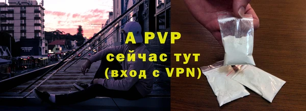 PSILOCYBIN Абаза