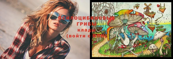 мяу мяу мука Абинск