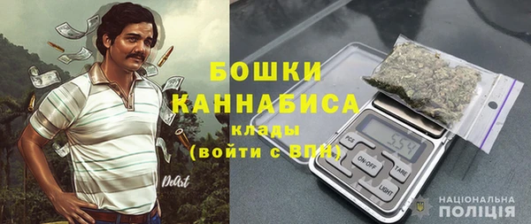 PSILOCYBIN Абаза
