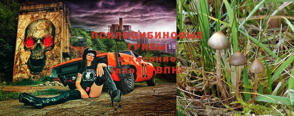 PSILOCYBIN Абаза