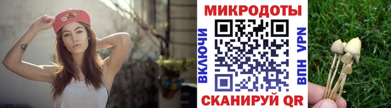 Галлюциногенные грибы мухоморы  купить наркотик  Нижнекамск 